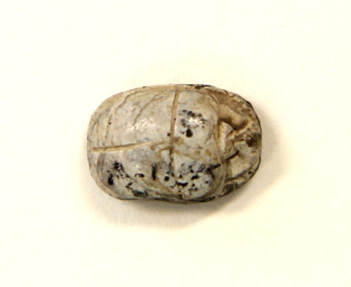 Scarab