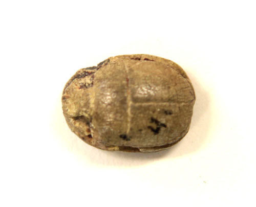 Scarab