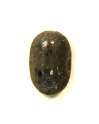 Scarab