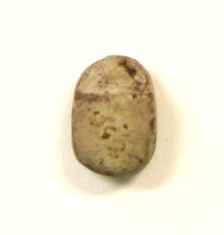 Scarab