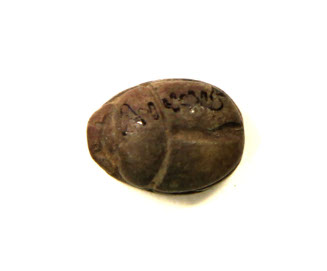 Scarab