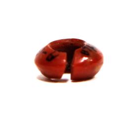 Bead