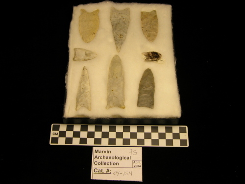 Paleo-P. Points