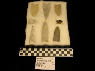 Paleo-P. Points