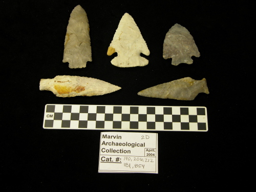 Projectile Point