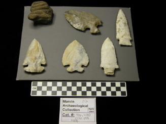 Projectile Point