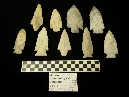 Projectile Point