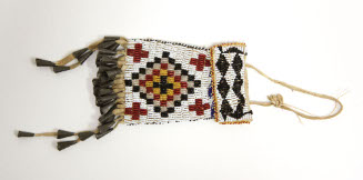Pouch