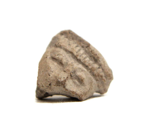 Head