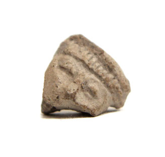 Head