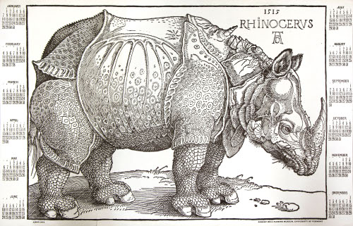 Rhinoceros poster, after Durer print