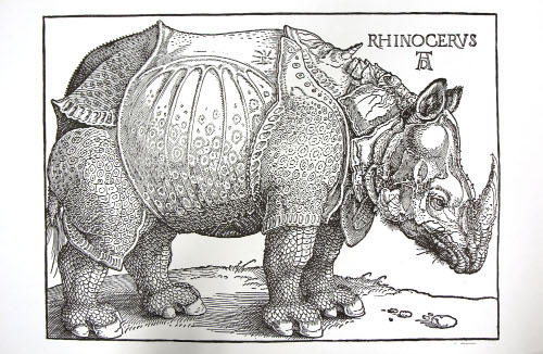 Rhinoceros poster, after Durer print