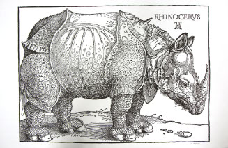 Rhinoceros poster, after Durer print