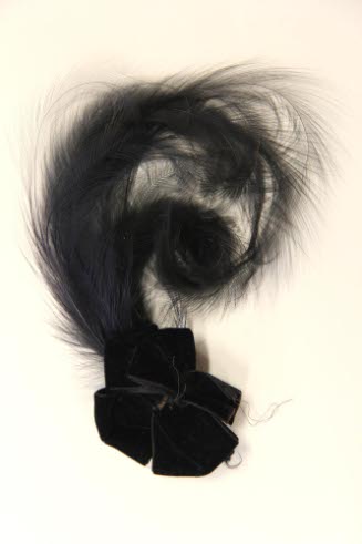 Feather aigret