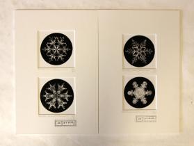 Bentley Snowflake b.e. 1, Bentley Snowflake b.e. 4