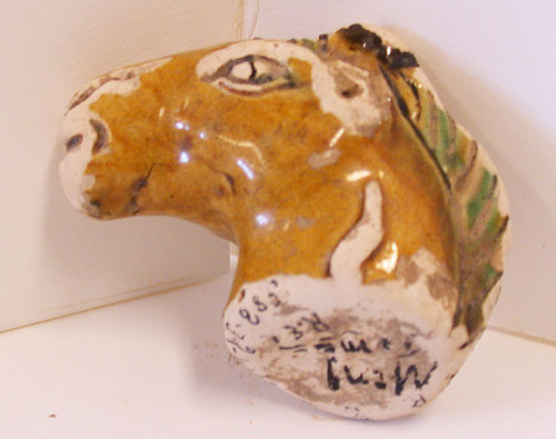 Horse head