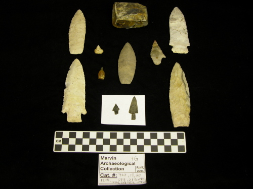 Projectile Point