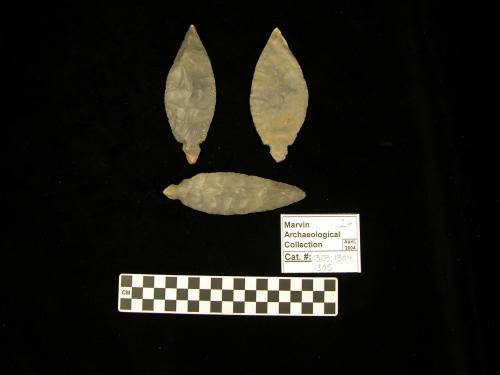 Projectile Point