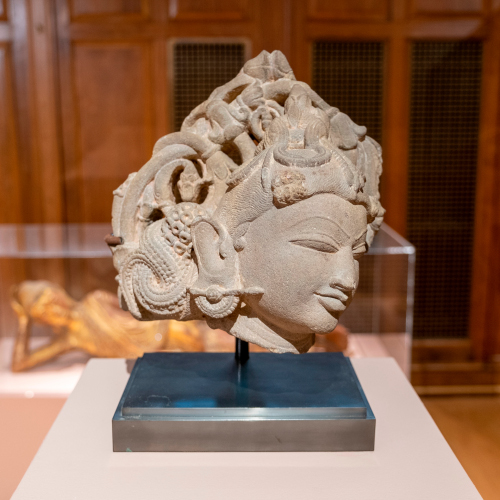 Head of a Female Figure (Salabhanjaka)