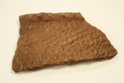 Pottery fragment