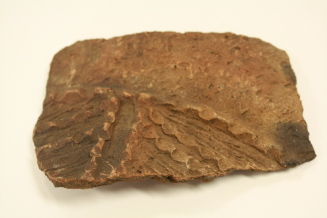 Pottery fragment