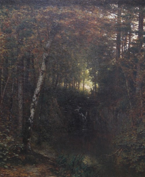 An Interior of Woods