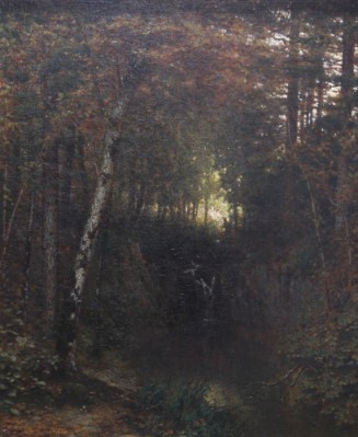 An Interior of Woods