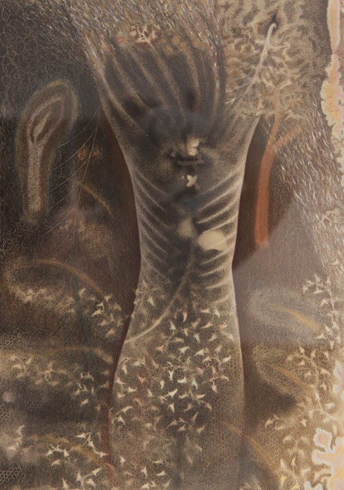 Transparent Being Series (5-86)