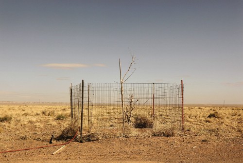 House/Home, A Work in Progress, Tree Growth, Navajo Nation, AZ