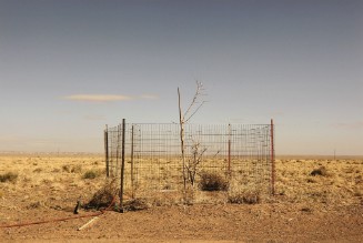 House/Home, A Work in Progress, Tree Growth, Navajo Nation, AZ