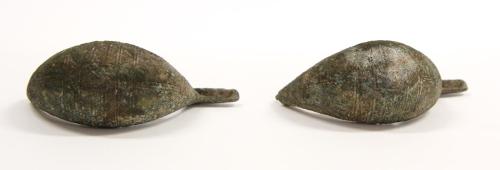 Fibula