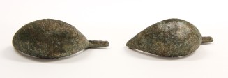 Fibula