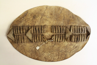 Shield
