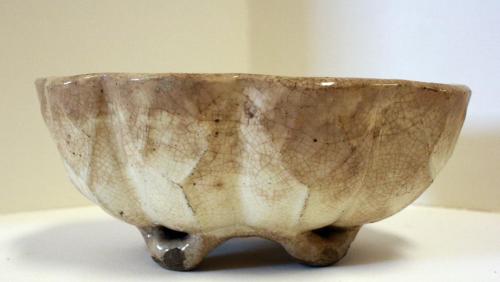 Bowl