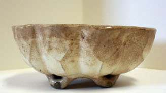 Bowl