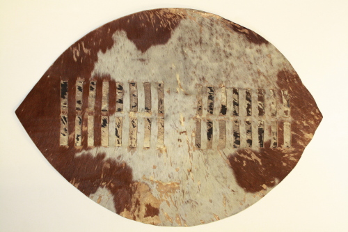 Shield