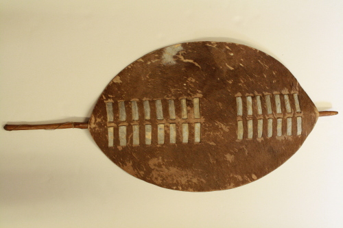 Shield