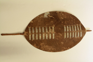 Shield