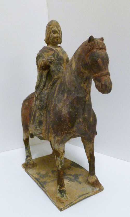 Horse & Rider