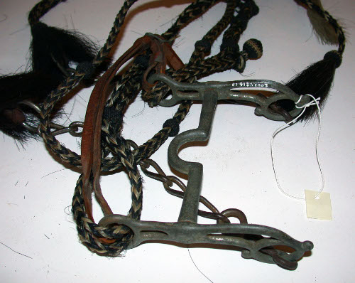 Bridle with reins