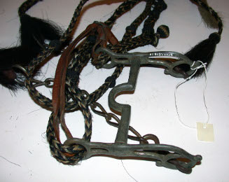 Bridle with reins