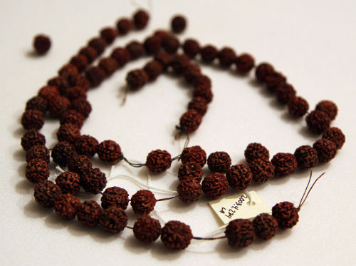 Seed necklace