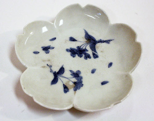 Dish
