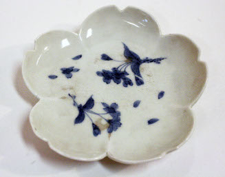 Dish