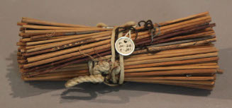 Bundle of reeds