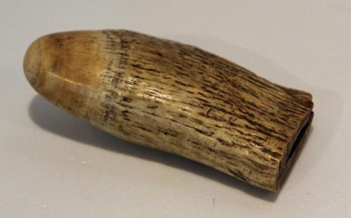 Sperm whale tooth