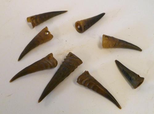 Antelope hornlets