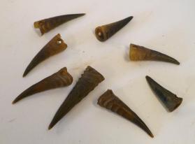 Antelope hornlets