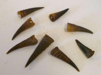 Antelope hornlets