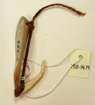 Fishhook with cord